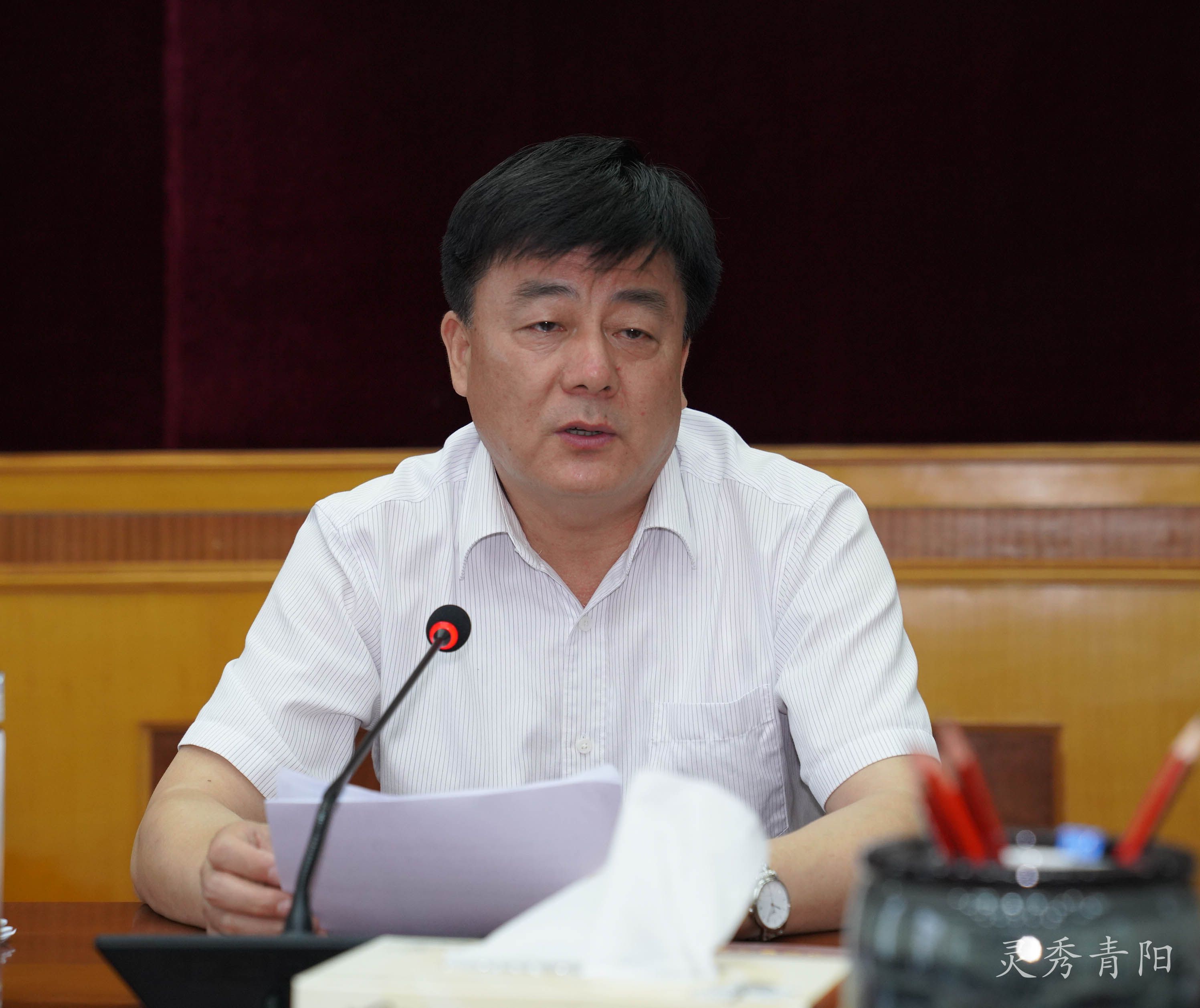 县委副书记,县长巩文生主持会议.